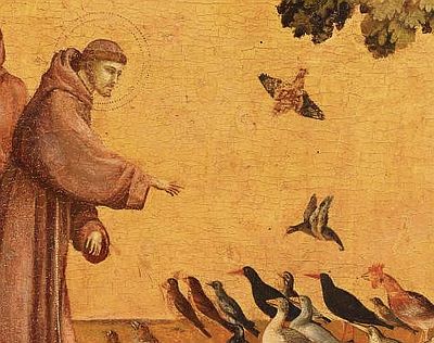 Peinture de saint François préchant aux oiseaux par Giotto